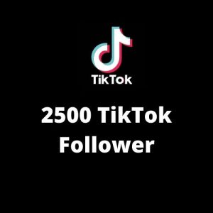 2500 TikTok Followers